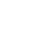 Influencer Advertising